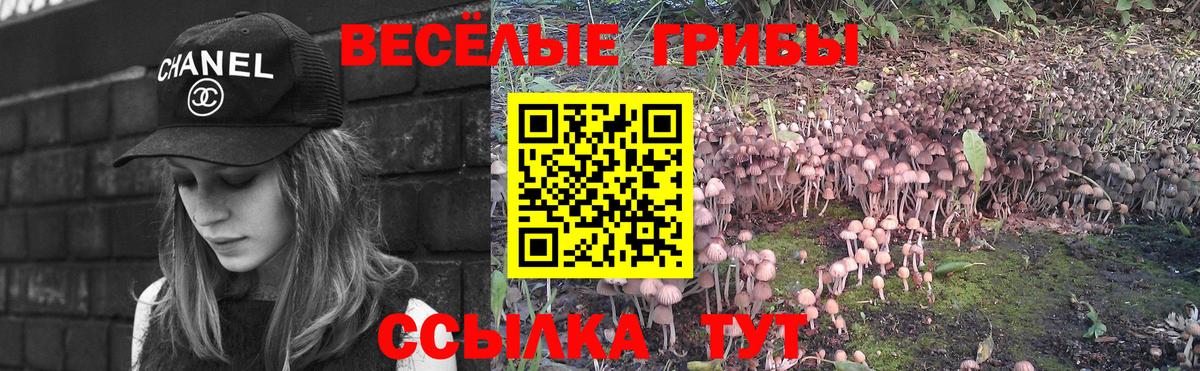 Псилоцибиновые грибы Psilocybine cubensis  Вход с VPN  Астрахань  Псилоцибиновые грибы Cubensis 
